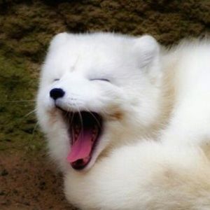 Meet your Posher, Katherine